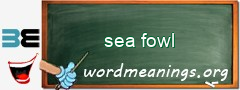 WordMeaning blackboard for sea fowl